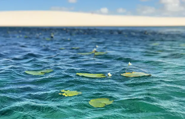 Quando ir aos Lençóis Maranhenses