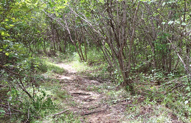 Trilha da Carnaúba: entre as pedras de Chaval