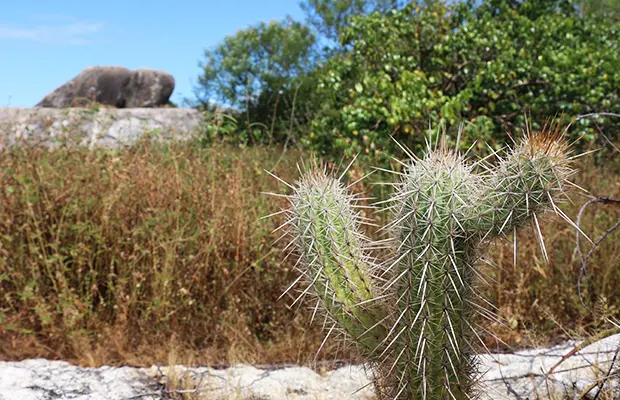 Trilha da Carnaúba: entre as pedras de Chaval