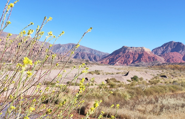 Como chegar a Jujuy