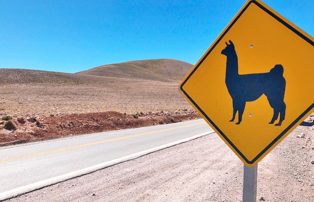 Salta e Jujuy: o exuberante norte da Argentina