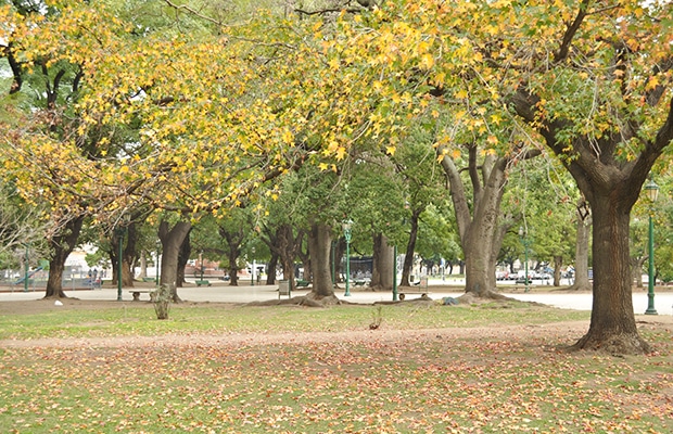 Quando ir a Buenos Aires