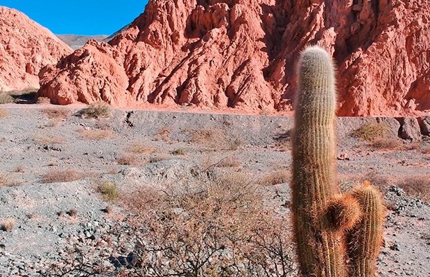 Cerro de los Siete Colores: a montanha colorida da Argentina
