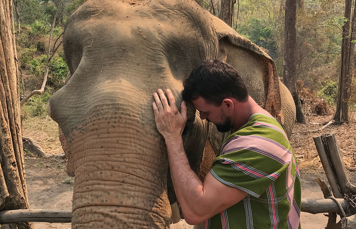 Meu incrível encontro com elefantes na Tailândia