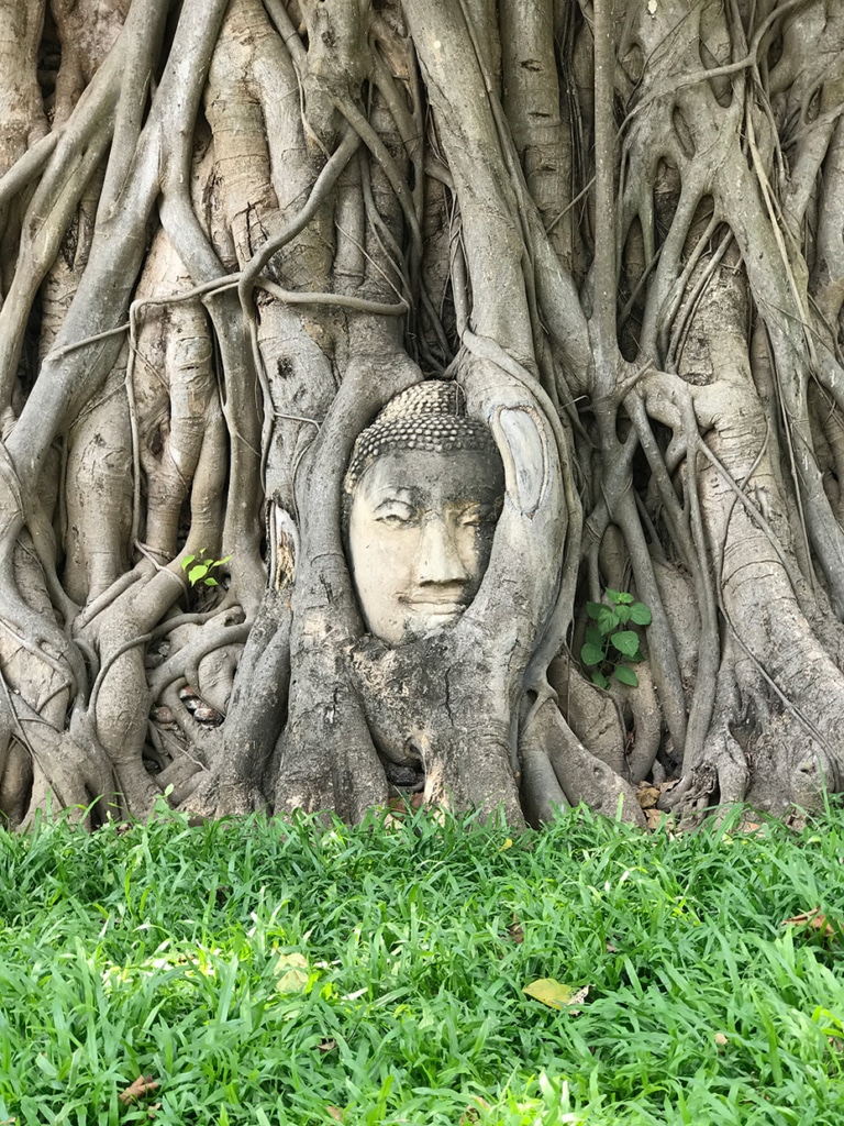 Templos de Ayutthaya: quais visitar?