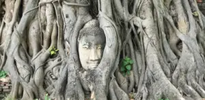 Templos de Ayutthaya: quais visitar?