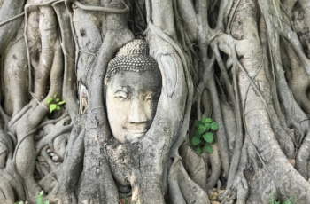 Templos de Ayutthaya: quais visitar?