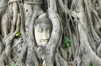 Templos de Ayutthaya: quais visitar?