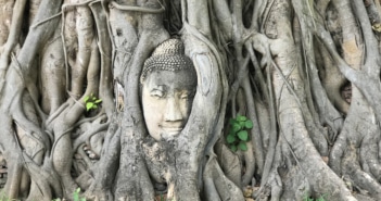 Templos de Ayutthaya: tudo que você precisa saber Templos de Ayutthaya: quais visitar?