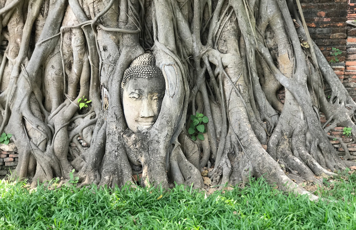 Onde ficar em Ayutthaya