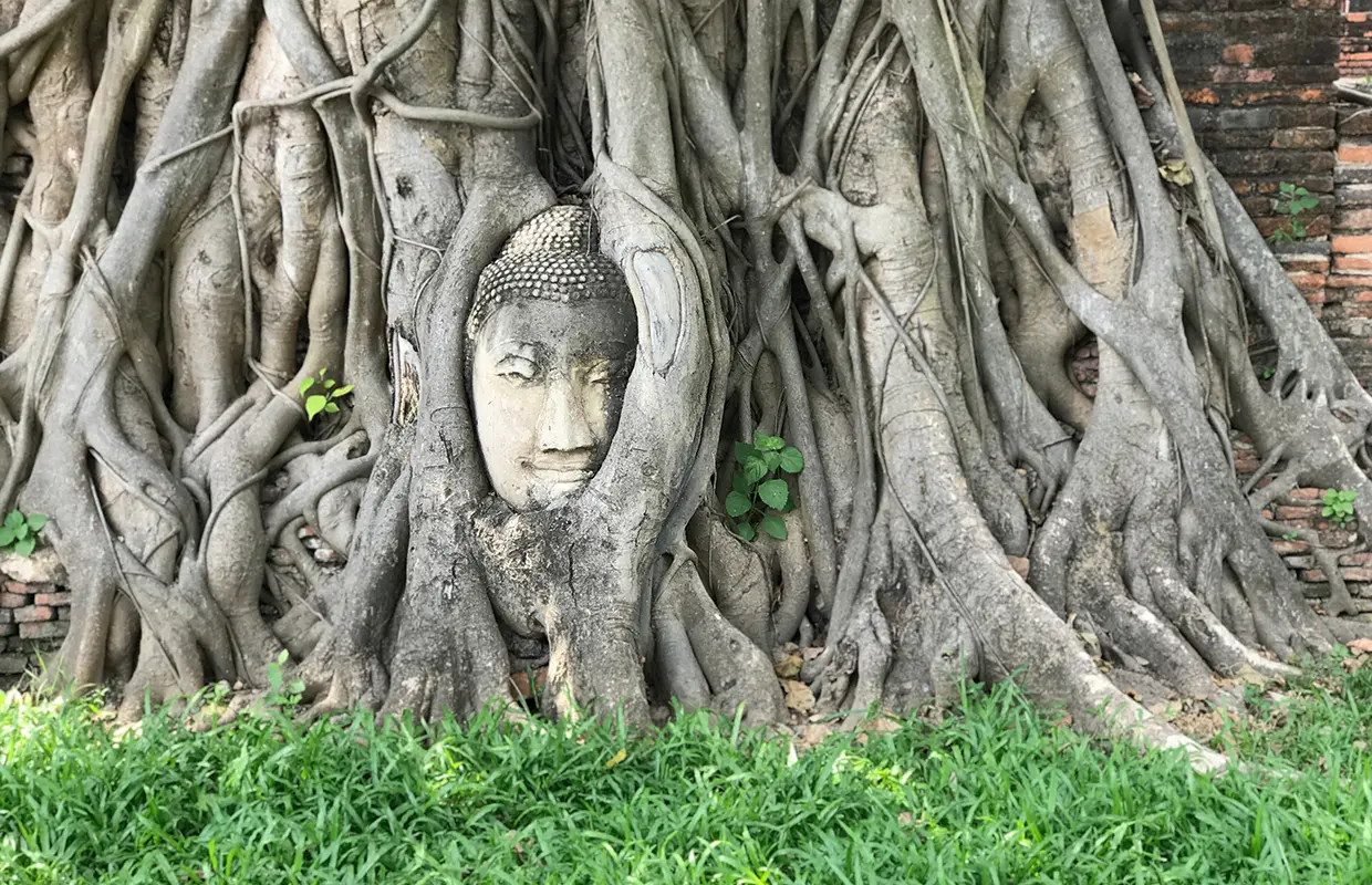 Onde ficar em Ayutthaya