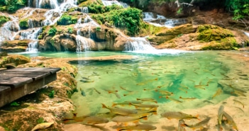 Quando ir a Bonito: veja qual a melhor época para viajar – dicas mês a mês