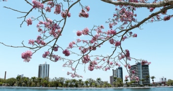 Onde ficar em Campina Grande, a cidade do maior São João do mundo
