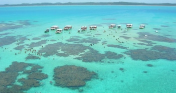 As incríveis piscinas naturais de Maragogi: veja como visitar as galés
