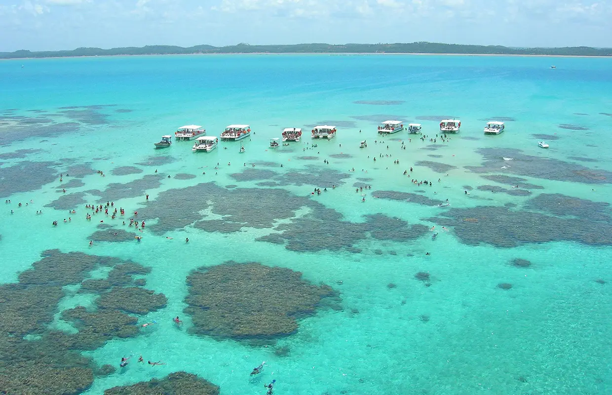 piscinas naturais de Maragogi