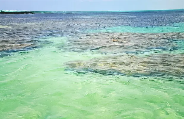 piscinas naturais de Maragogi