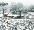 0 lugares para ver neve no Brasil: as cidades mais geladas