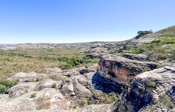 Roteiro para a Serra da Capivara