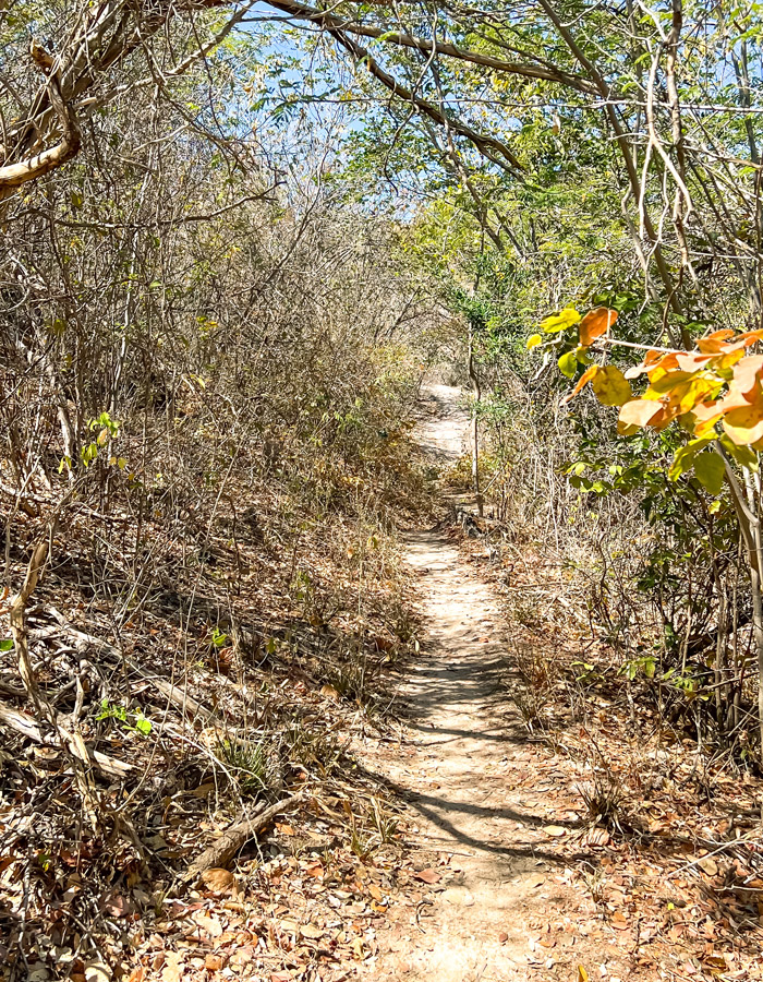 Roteiro para a Serra da Capivara