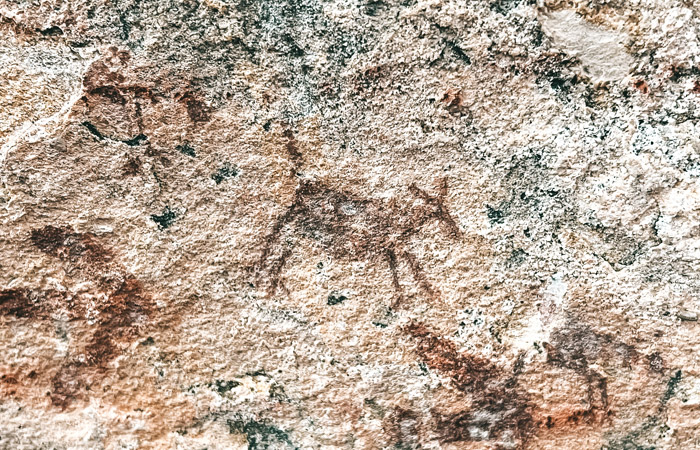 Roteiro para a Serra da Capivara