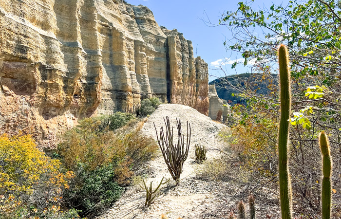 Roteiro para a Serra da Capivara