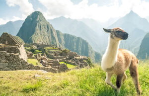Quando ir Machu Picchu