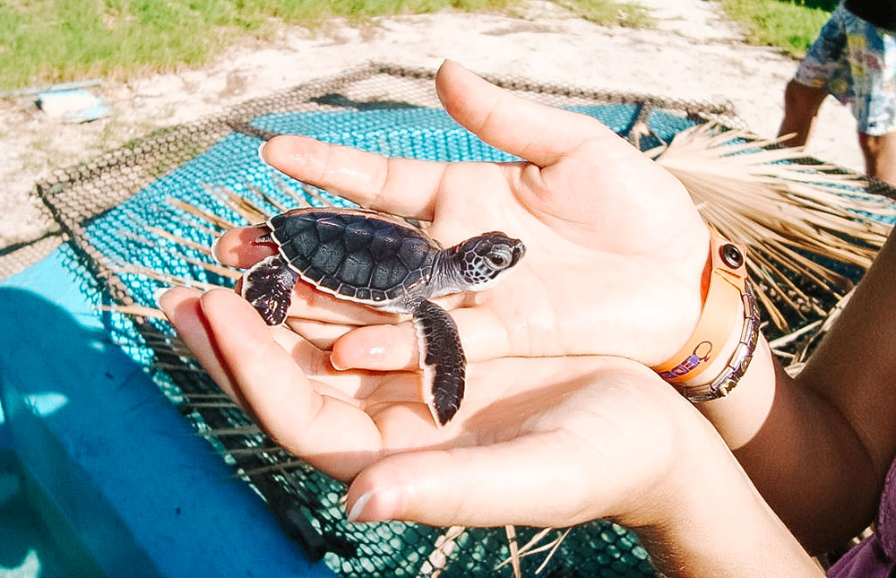 O que fazer em Cayo Largo