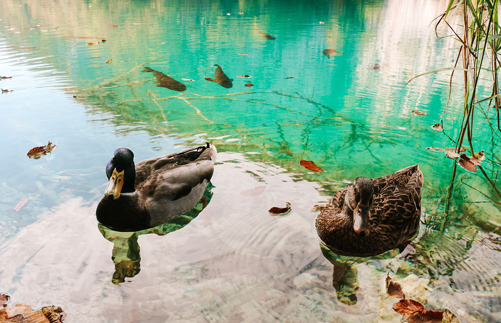 Lagos de Plitvice