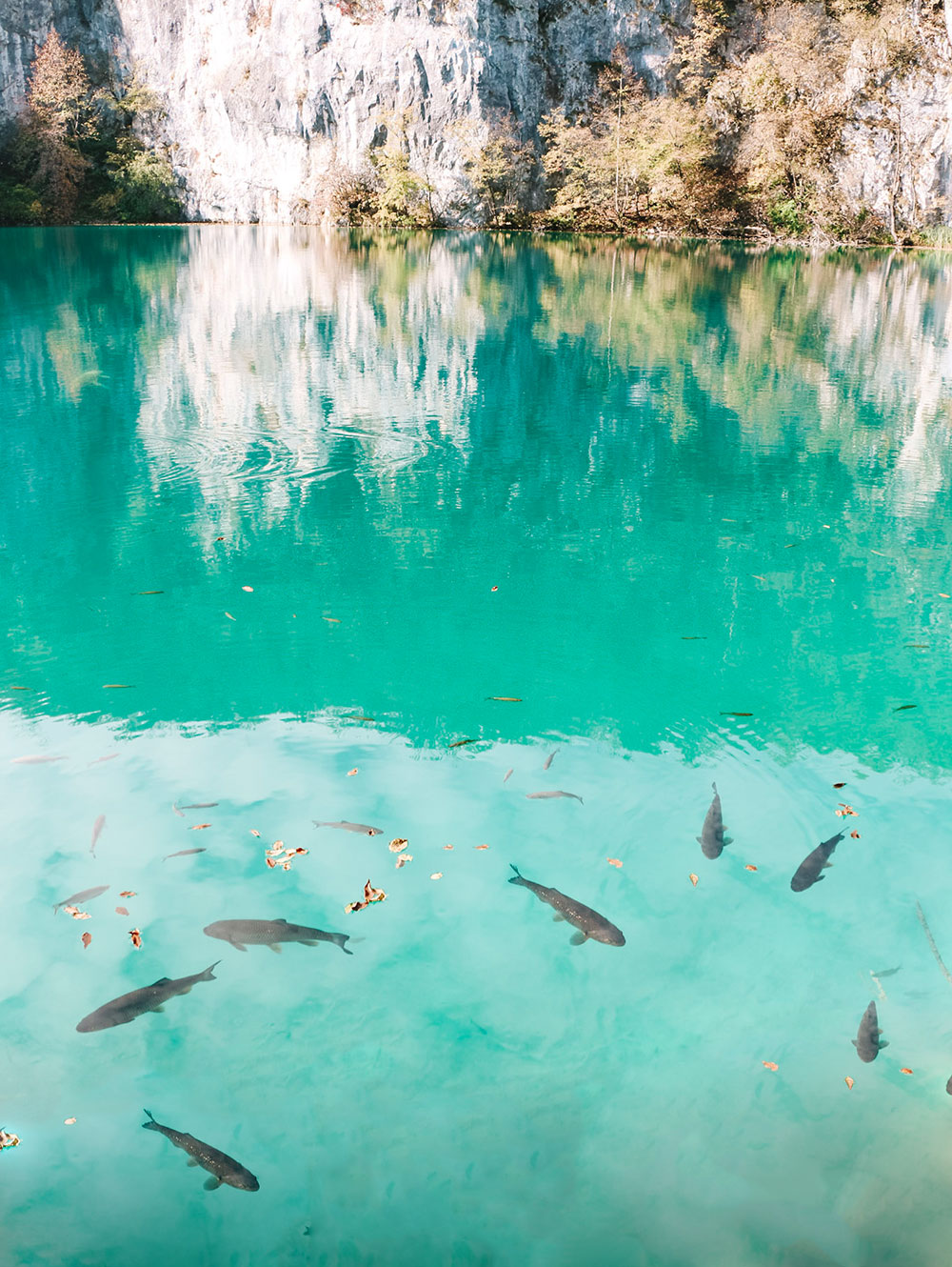 Lagos de Plitvice