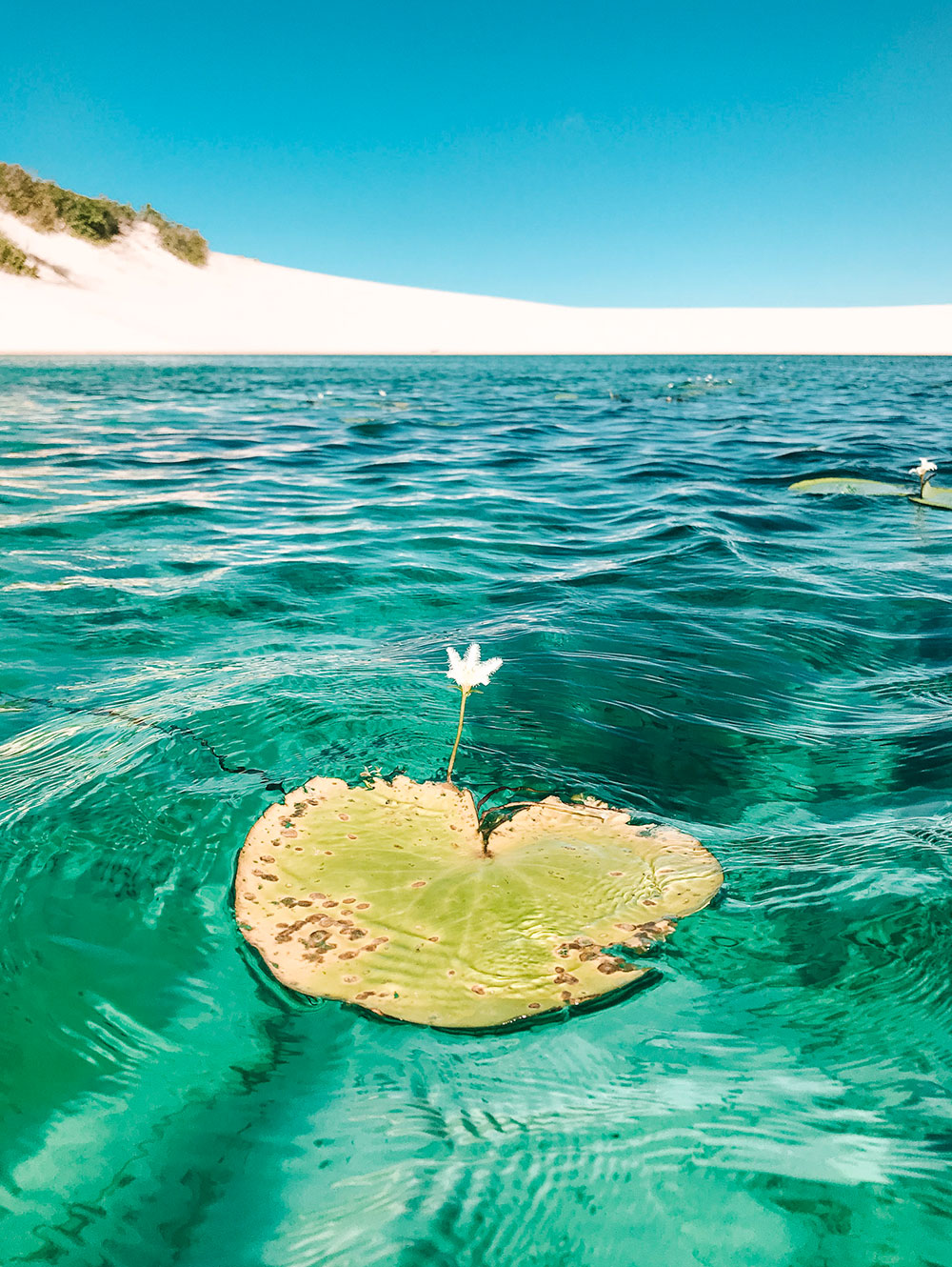 Lagoa Azul nos Lençóis Maranhenses