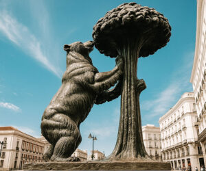 Urso e o Madroño: urso de Madri