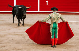 10 motivos para não participar de touradas na Espanha