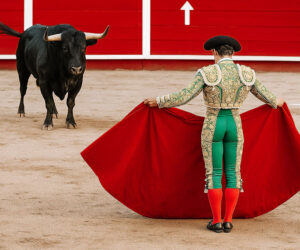 10 motivos para não participar de touradas na Espanha