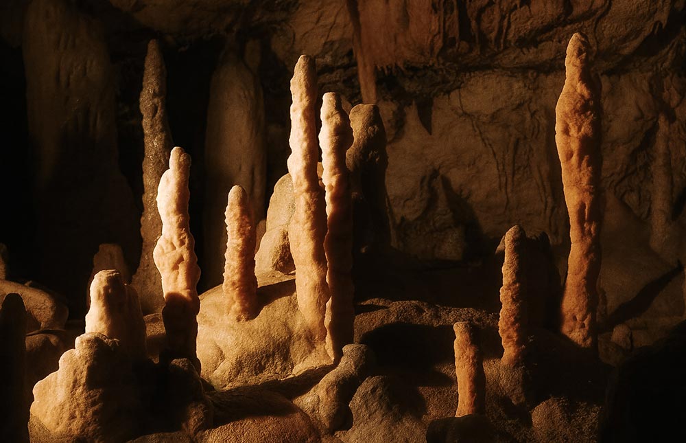 Caverna de Postojna