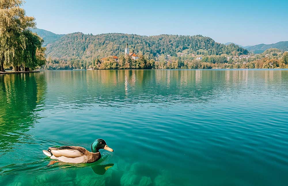 Lago de Bled, Castelo de Bled, Ilha de Bled, Desfiladeiro de Vintgar