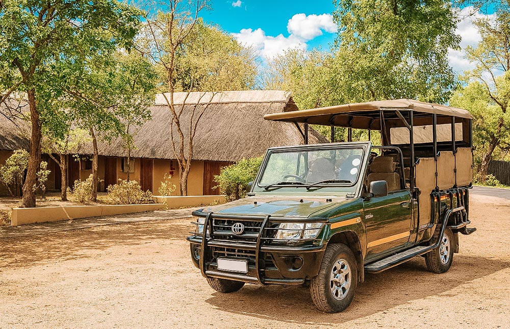 Quando fazer safári no Kruger Park